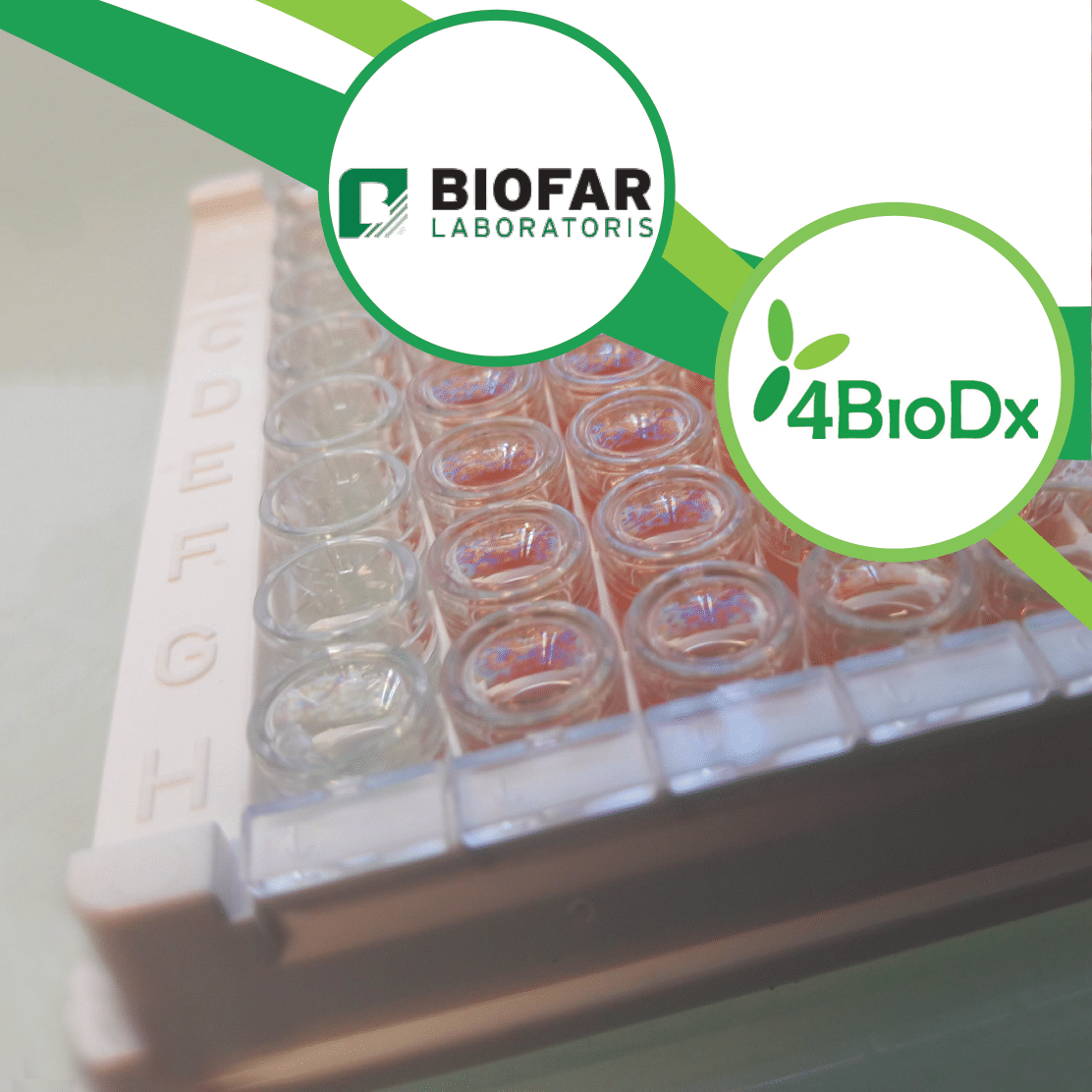 BIOFAR Laboratoris, our partner for the Pig 4MID Kit analyses-image