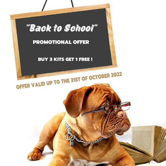 Promotional Offer - Back to School Offer-image