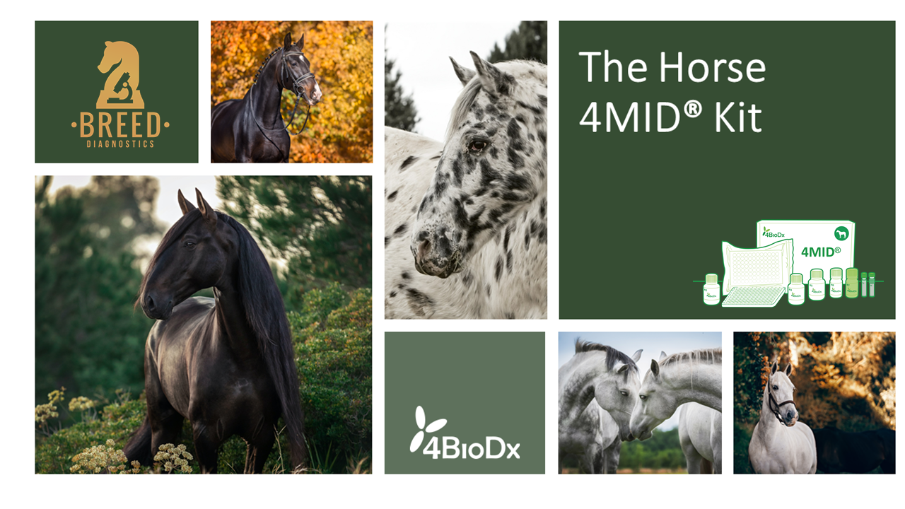 Breed diagnostics and 4BioDx